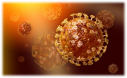 Информация о новой короновирусной инфекции, вызванной 2019-nCov